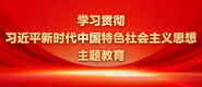 大鸡巴日寡妇小骚逼学习贯彻习近平新时代中国特色社会主义思想主题教育_fororder_ad-371X160(2)